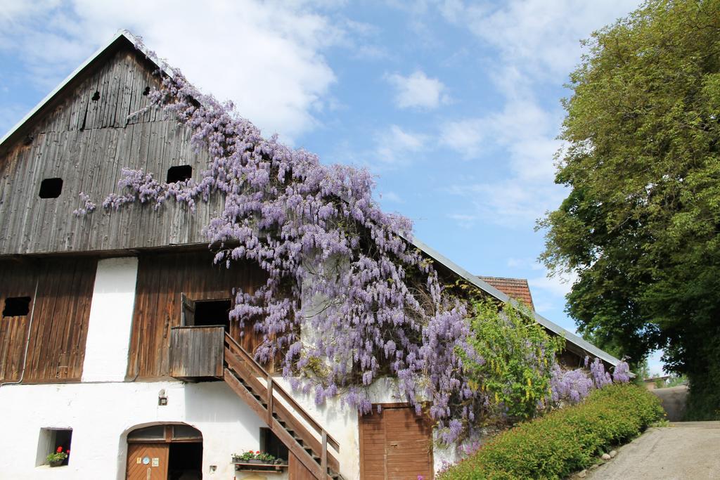 Pension Neuhof ออสซิอัค ภายนอก รูปภาพ