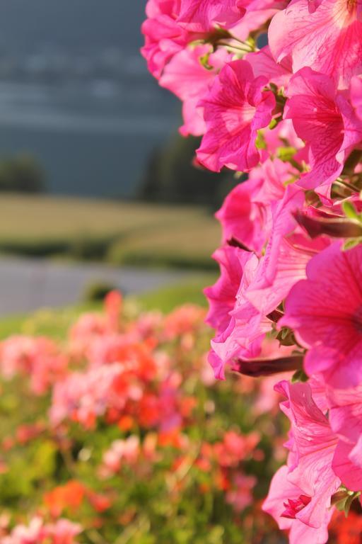 Pension Neuhof ออสซิอัค ภายนอก รูปภาพ